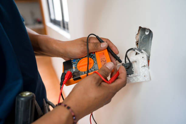 Best Electric Panel Repair  in Satsuma, AL